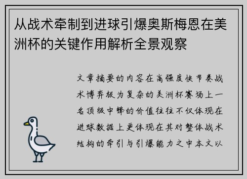 从战术牵制到进球引爆奥斯梅恩在美洲杯的关键作用解析全景观察